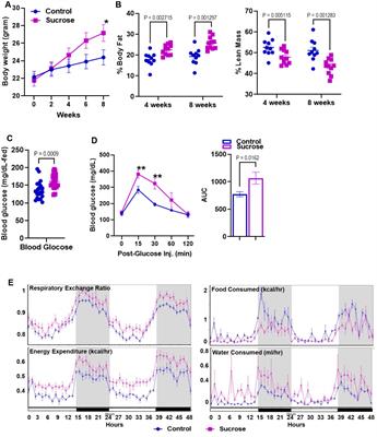 Sucrose-induced hyperglycemia dysregulates intestinal zinc metabolism and integrity: risk factors for chronic diseases